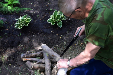 Similar image 21114196