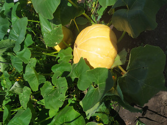 Similar image 21114198