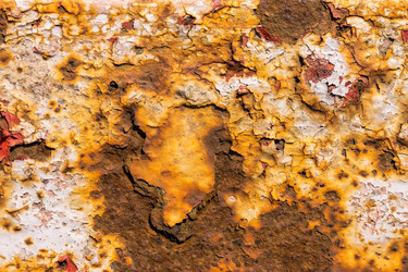 Similar image 21112659