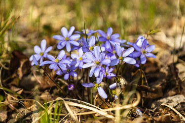 Similar image 21112866