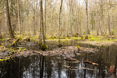 Similar image 21112878