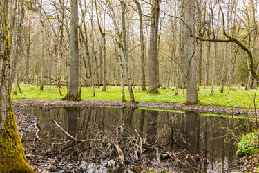 Similar image 21112884