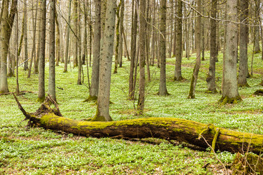 Similar image 21112888