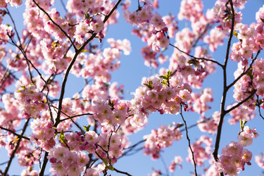 Similar image 21112900