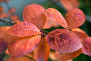 Similar image 21113204