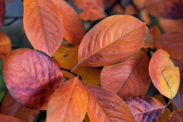 Similar image 21113205