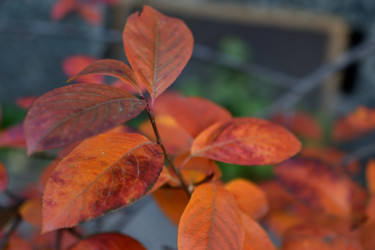 Similar image 21113206