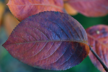 Similar image 21113207