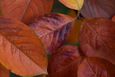 Similar image 21113208