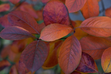 Similar image 21113209