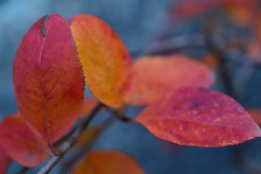 Similar image 21113212