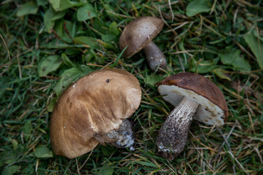 Similar image 21115520