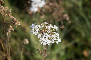 Similar image 21115521