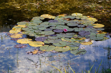 Similar image 21115524