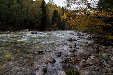 Similar image 21115525