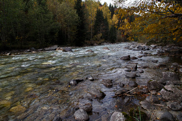 Similar image 21115526