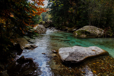 Similar image 21115575