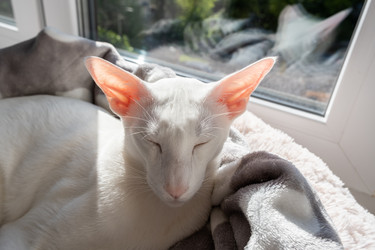 Similar image 21114425