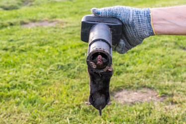 Similar image 21114427