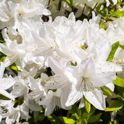 Similar image 21114434