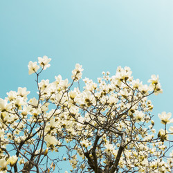 Similar image 21114435