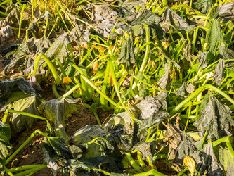 Similar image 21114436