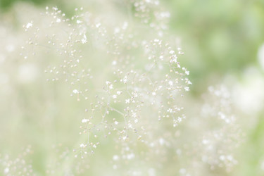 Similar image 21114445