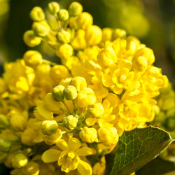 Similar image 21114446