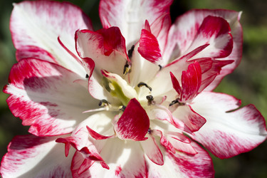 Similar image 21114454