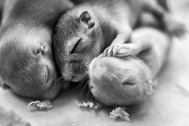 Similar image 21114459