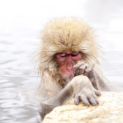 Similar image 21114460