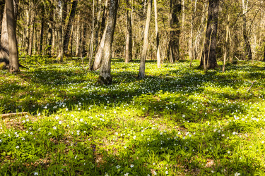 Similar image 21118916