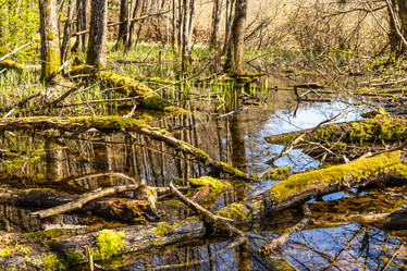 Similar image 21118918