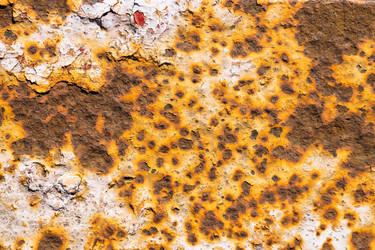 Similar image 21118940