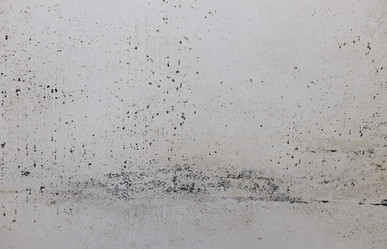 Similar image 21118943