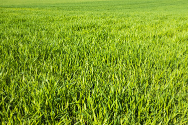 Similar image 21119229