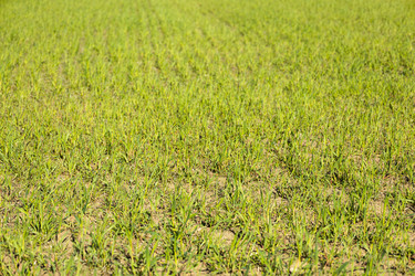 Similar image 21119231