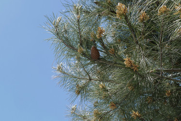 Similar image 21114207