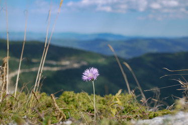 Similar image 21114208