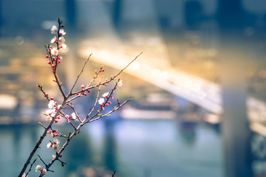 Similar image 21114663