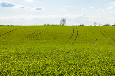 Similar image 21119236