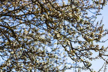 Similar image 21119241