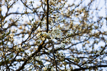 Similar image 21119243