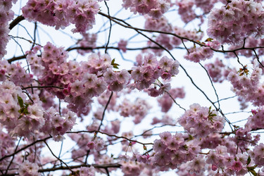 Similar image 21119378