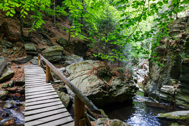 Similar image 21119384