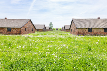 Similar image 21119388