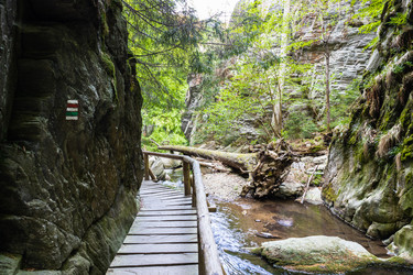 Similar image 21119392