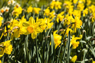 Similar image 21119399