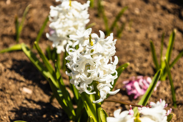 Similar image 21119407