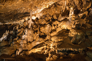 Similar image 21119408